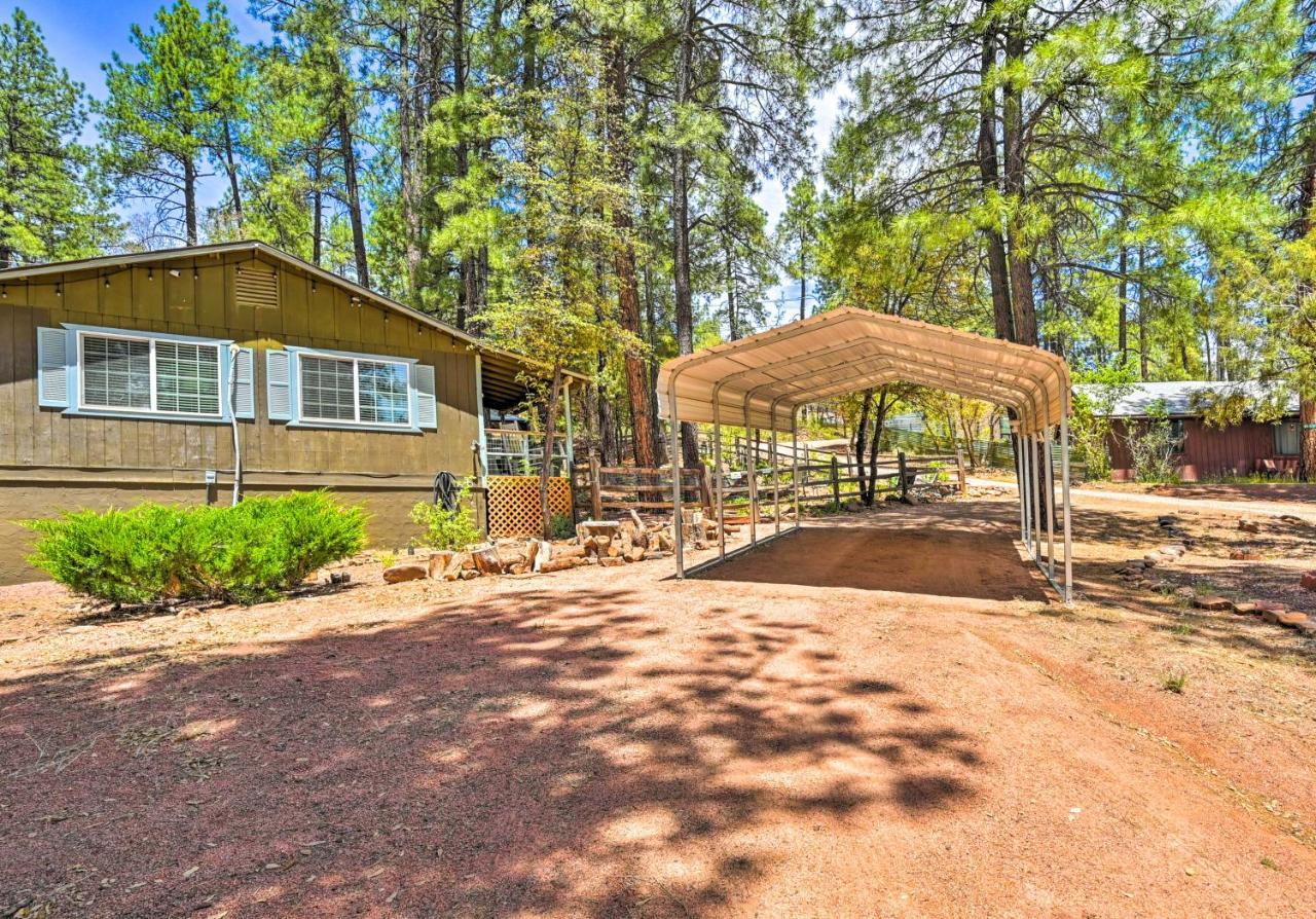 Pine Cabin In The Woods With Yard And Grill! Екстер'єр фото